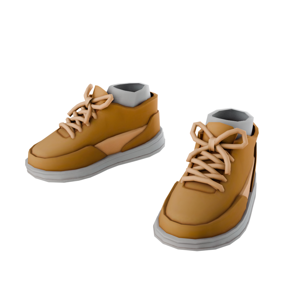 laced brown shoes